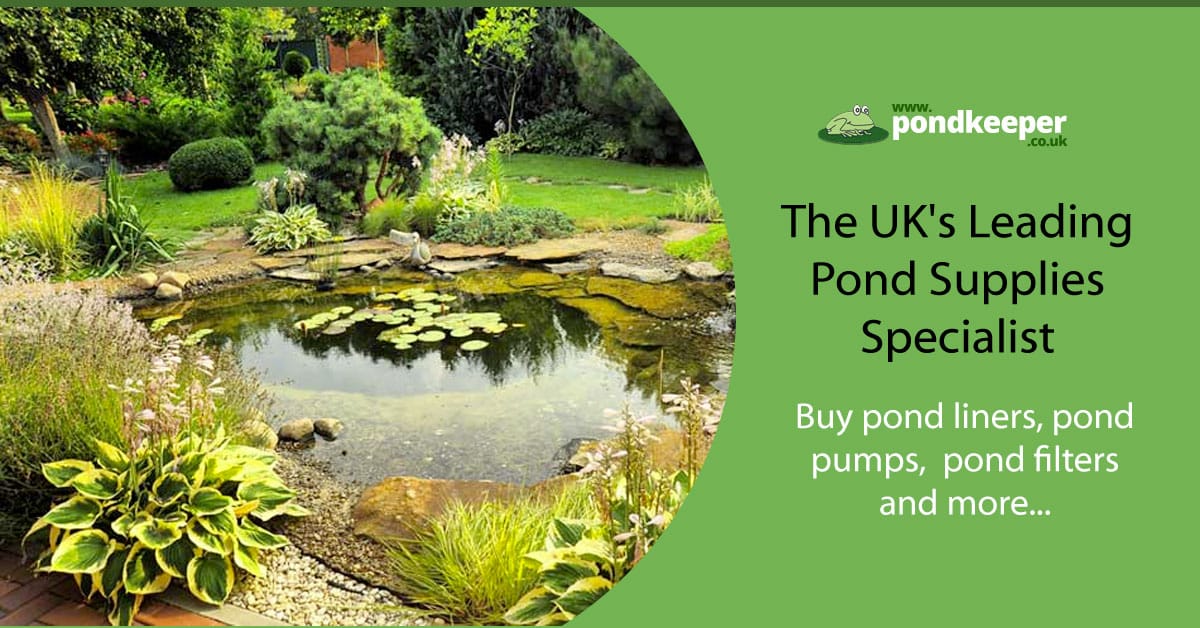 Can Pond Care Be Effortless and Rewarding? Why Pondkeeper Makes a Difference for Garden Lovers