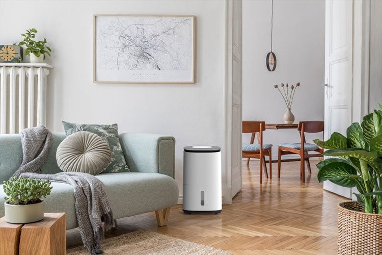 Could Meaco Dehumidifiers Be the Secret to a Healthier, Happier Home?