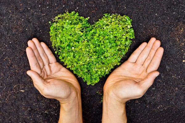 Brands Can’t Afford to Trash the Planet Anymore