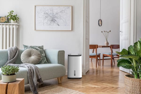 Could Meaco Dehumidifiers Be the Secret to a Healthier, Happier Home?