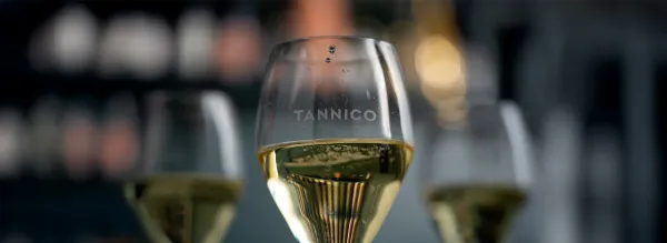 Tannico: Il Segreto per Trasformare la Tua Esperienza del Vino a Casa